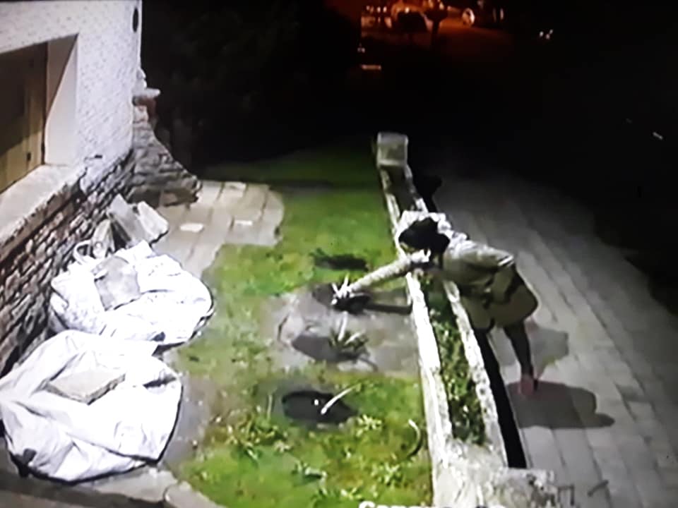 CNEL VIDAL: Captó con cámaras de seguridad el momento en el que dos mujeres le roban plantas de su jardín