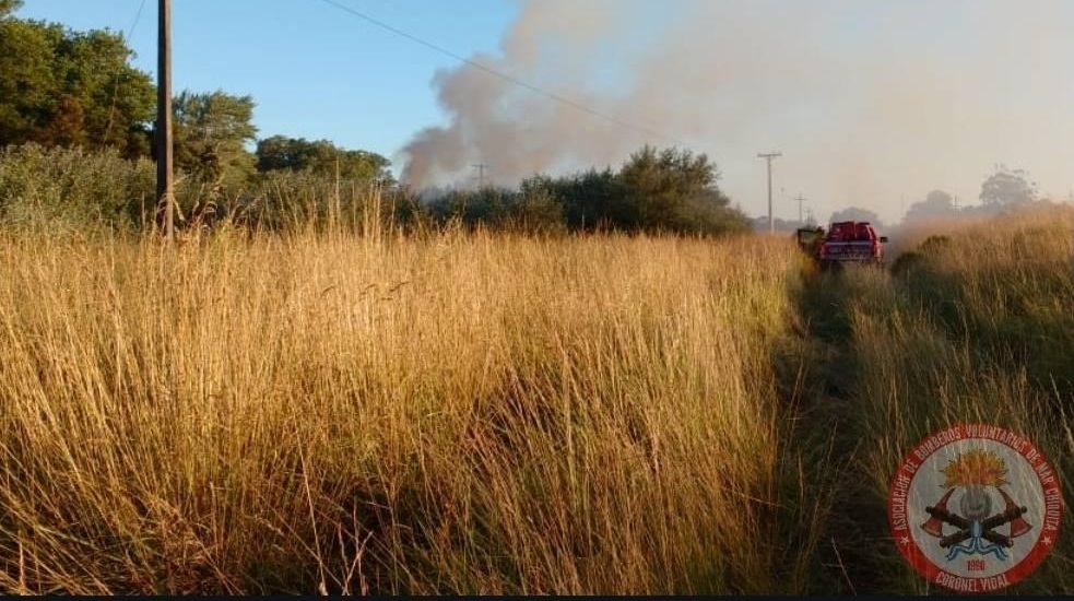 Bomberos de Vivoratá y Cnel. Vidal combatieron un incendio pastizales por más de cuatro horas