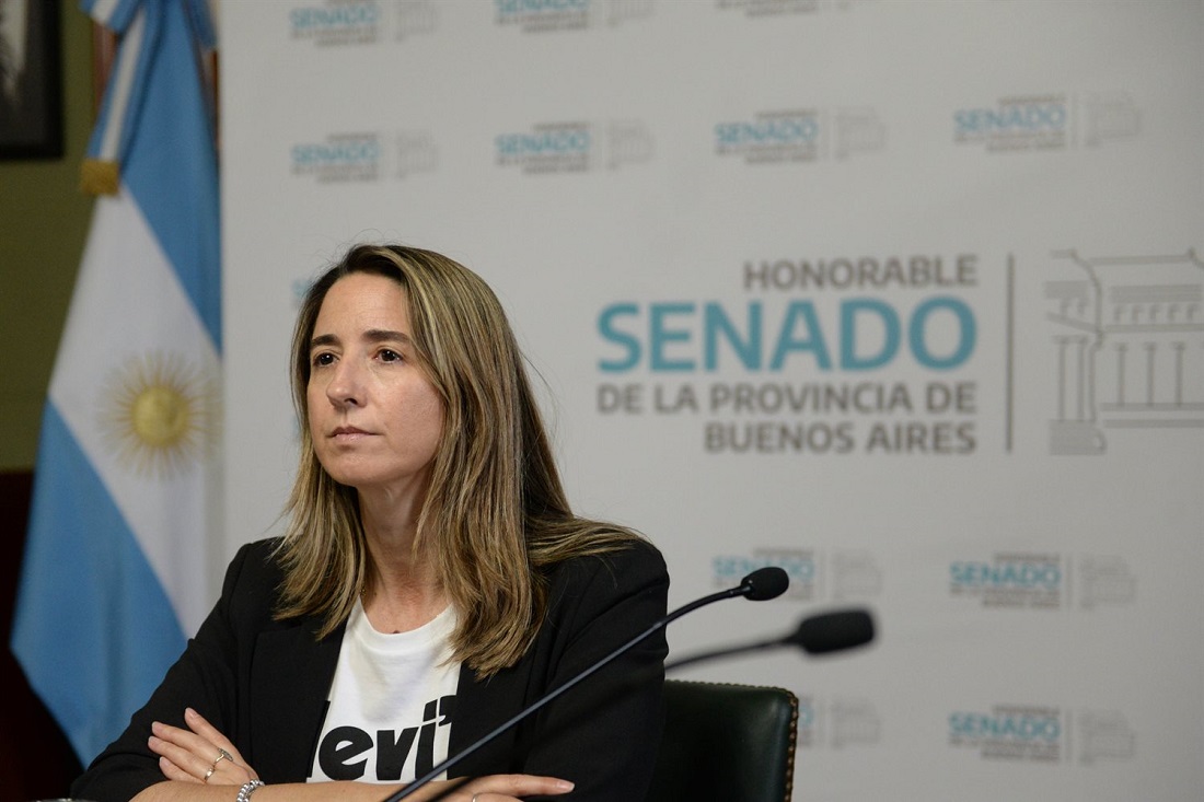 Inesperado: La senadora radical Flavia Delmonte anunció que «a pesar de las diferencias ideológicas» votará a Milei