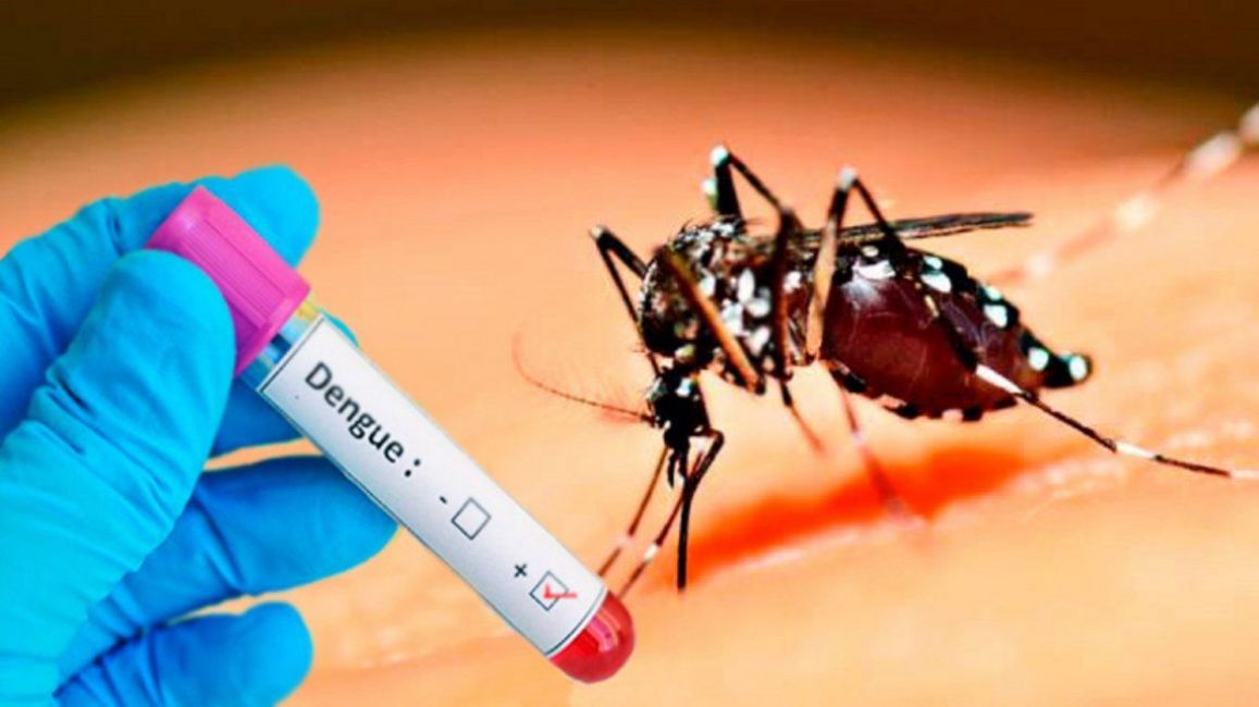 Dengue en Provincia: Más municipios bonaerenses con brotes y otros dos fallecidos