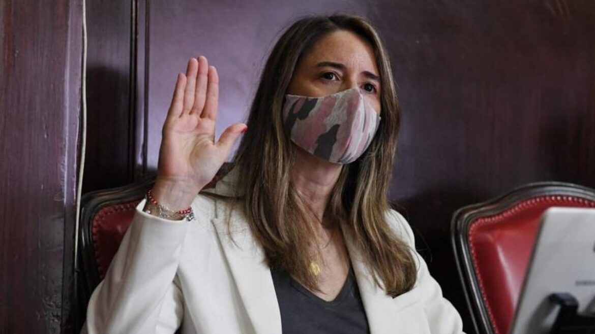 Denunciaron a la senadora Delmonte por corrupción: El descargo de la legisladora bonaerense