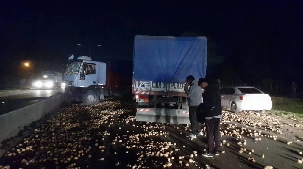 APAPAPA!!:Un camionero perdió el control y volcó la carga sobre la ruta
