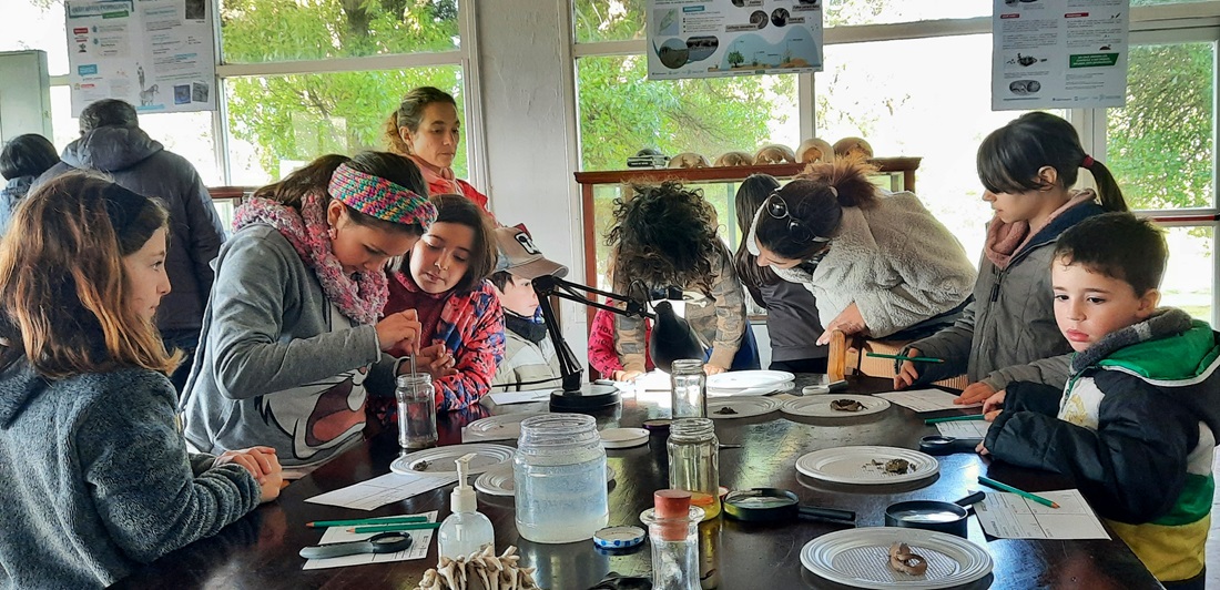 Vacaciones en Mar Chiquita: llega “Paleoambientes y microfósiles” al CAV