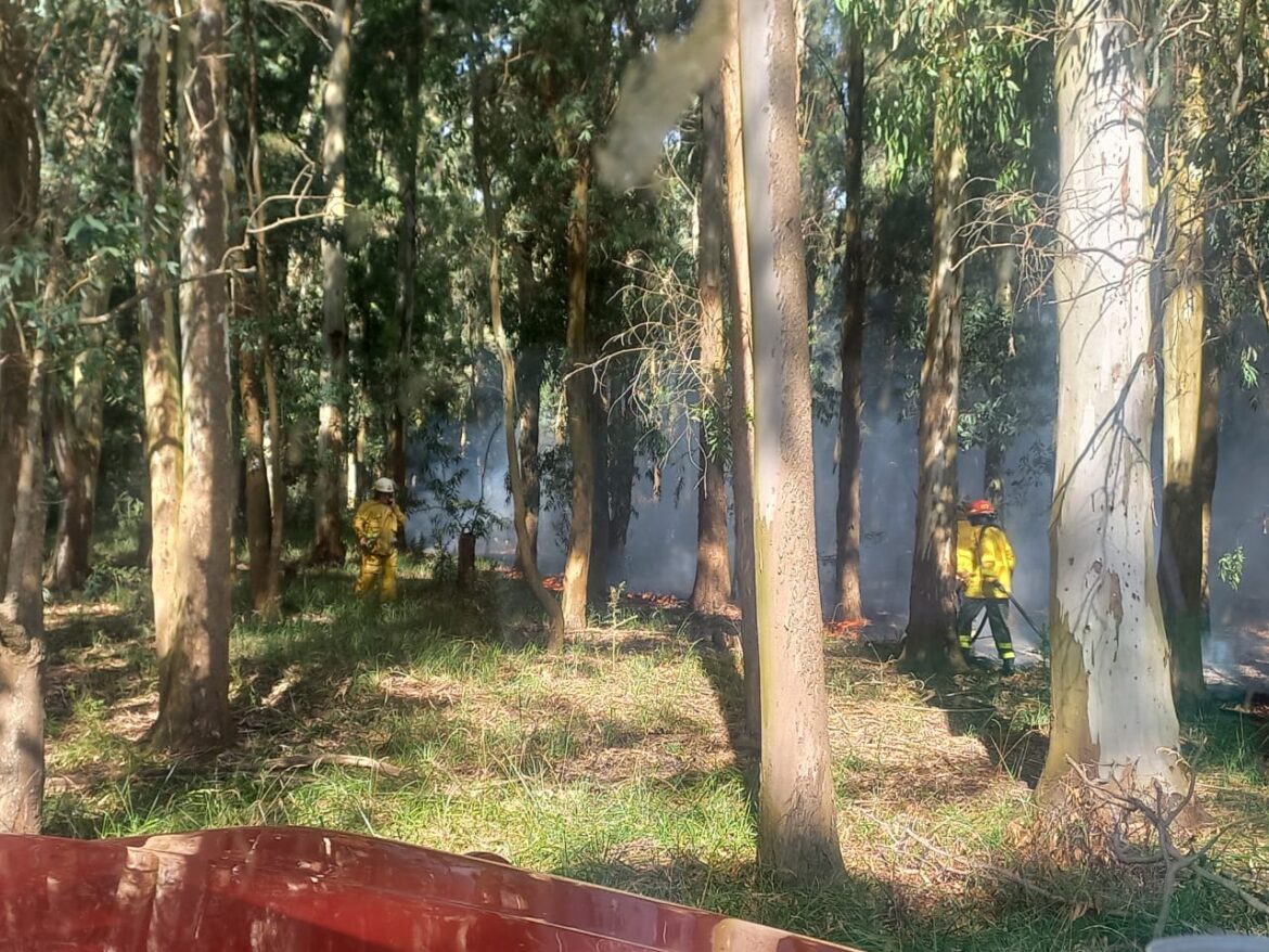 LA REGLA 30/30/30: Bomberos de Coronel Vidal combatieron durante 5 horas un incendio forestal en la zona de “Esquina de Argüas”