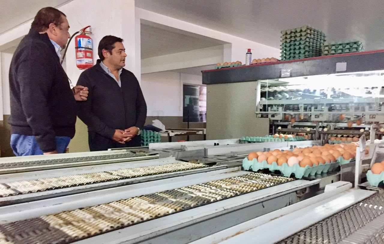 El pre candidato a intendente, Marcelo Sosa, visitó una granja avícola en General Piran