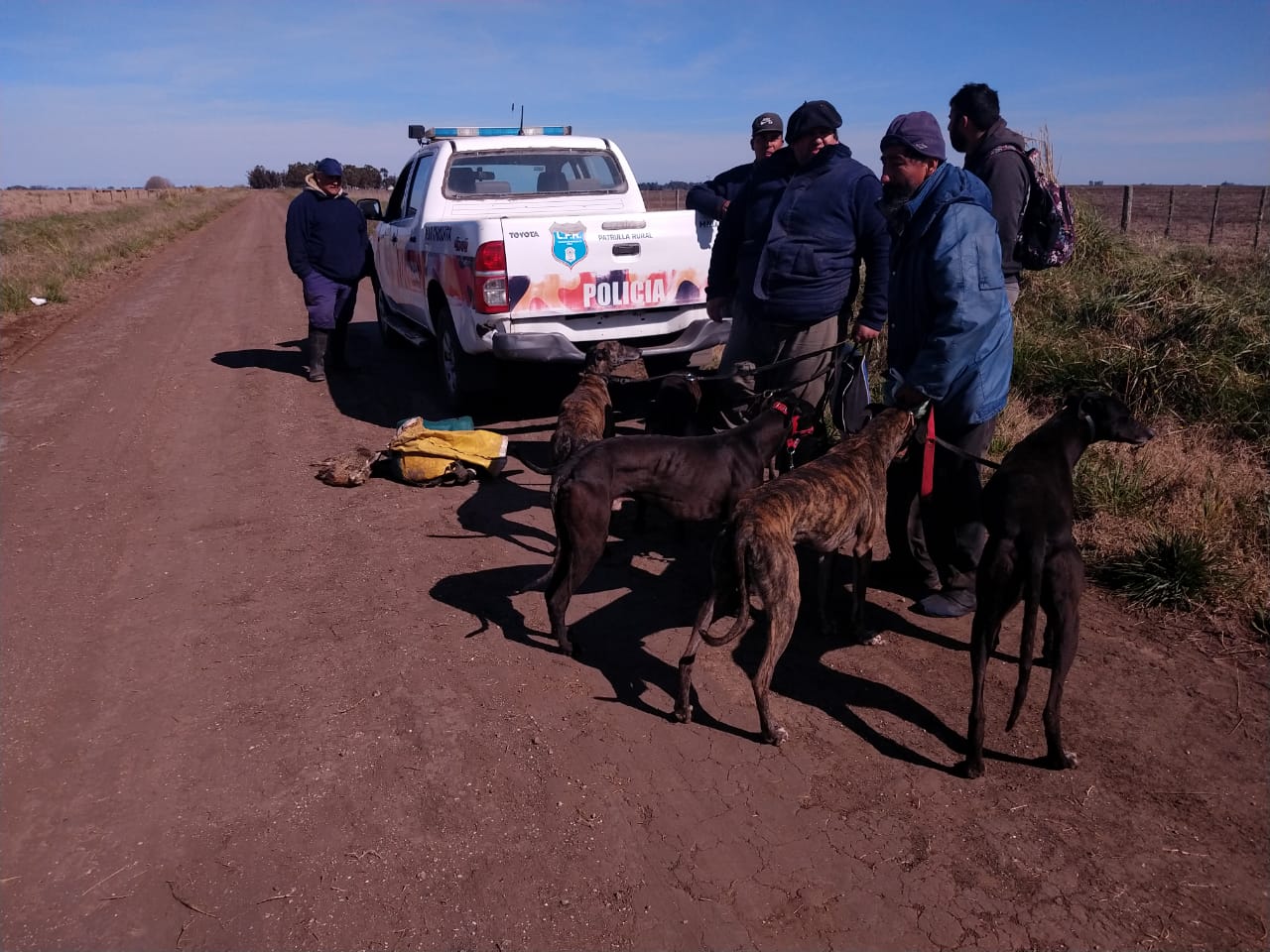 El CPR realizó operativo de control de caza con perros galgos, y secuestro al menos 16 animales y aprehendio a 8 personas