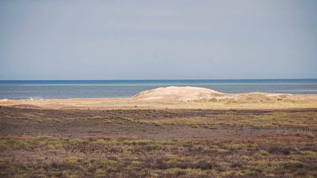 Jorge Paredi: «Soy el primer defensor de que CELPA se transforme en Parque Nacional y sea un territorio dedicado al medio ambiente»