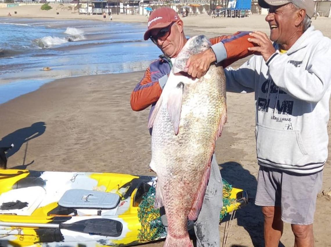 Un pescador sacó una corvina negra de casi 30 kg en Santa Clara del Mar