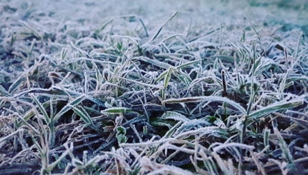 Ola Polar: Diez municipios bonaerenses que arrancaron el lunes con grados bajo cero