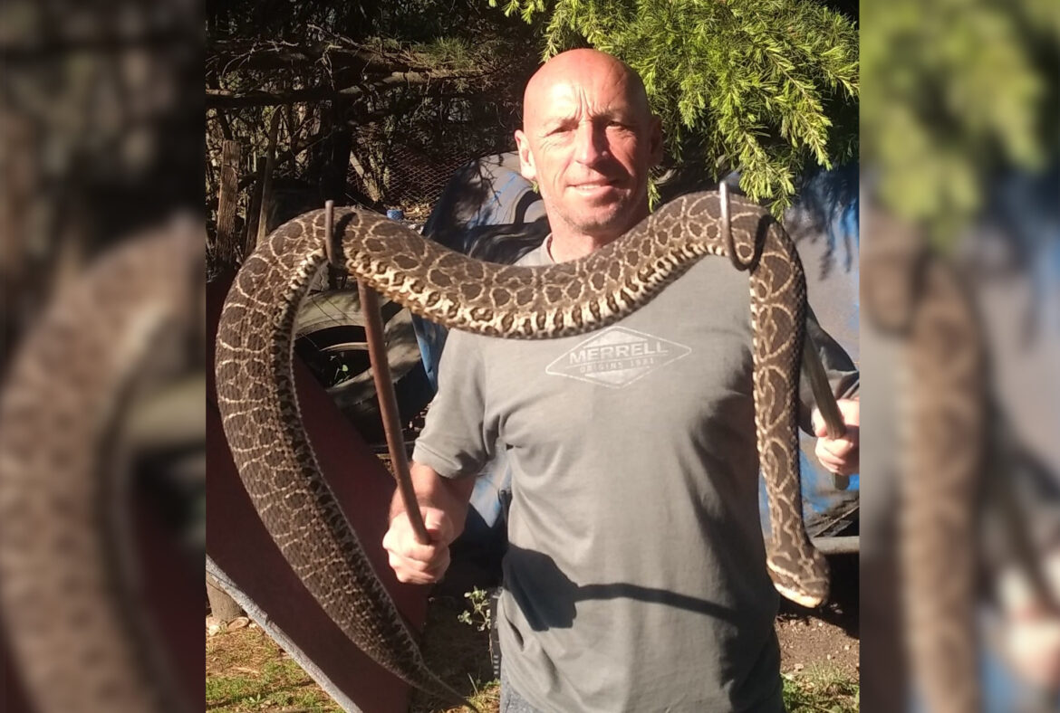 El experto en ofidios Daniel Defazy, da recomendaciones ante el alerta por las Yarará